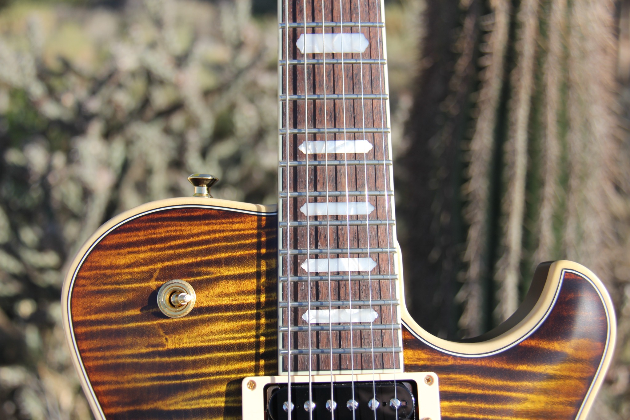 Fingerboard and top detail