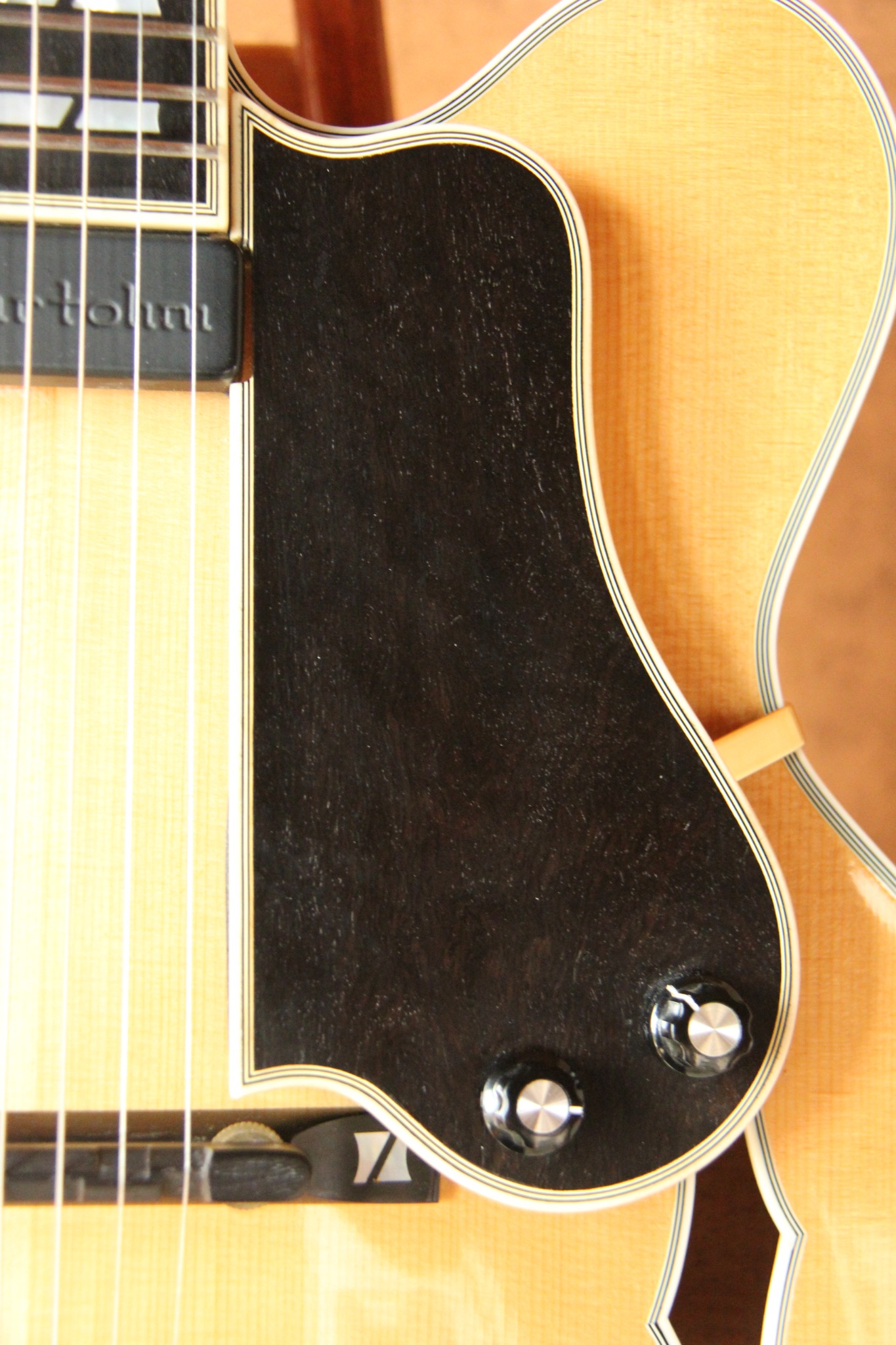 Pickguard and controls detail