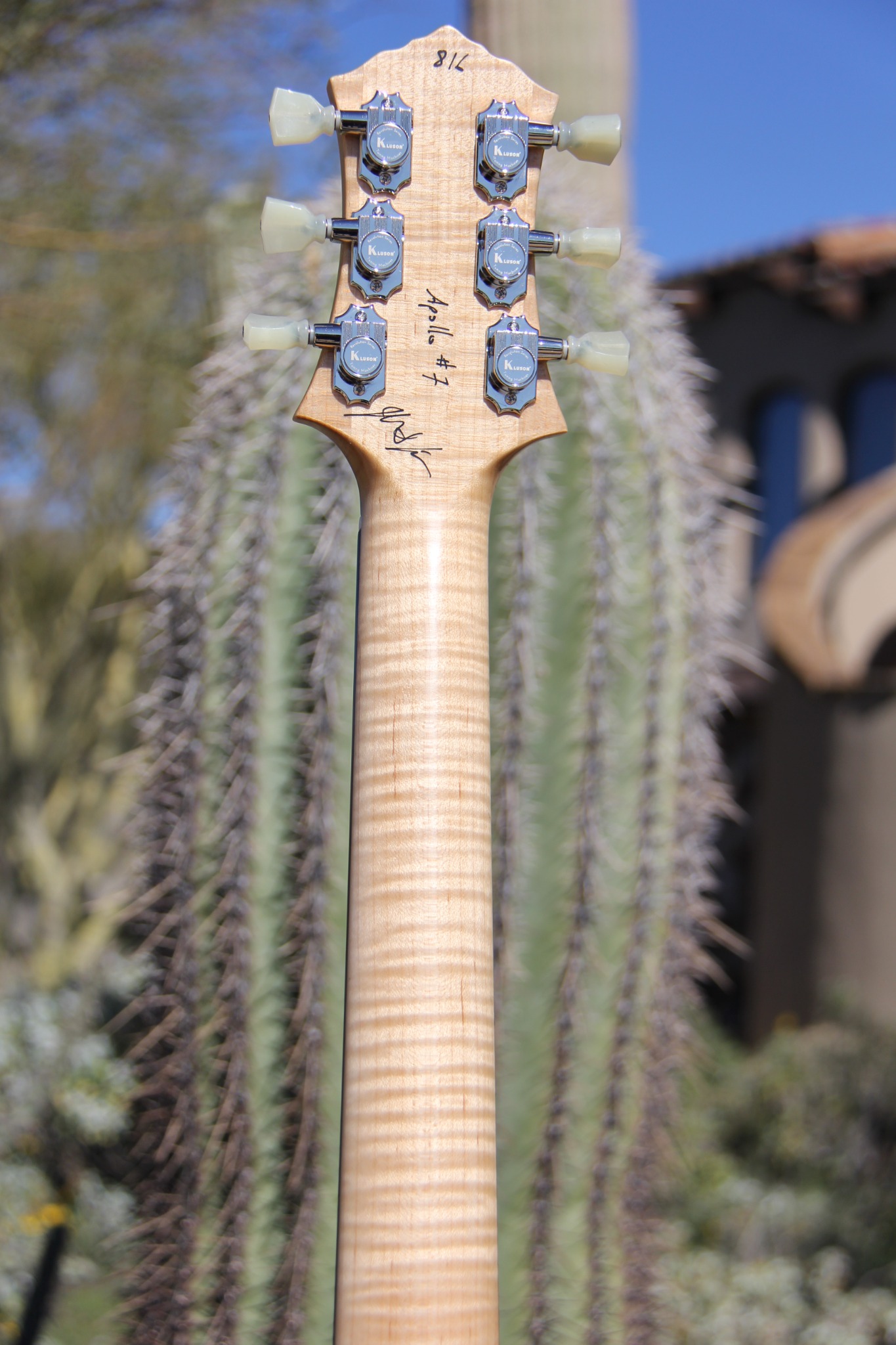 Headstock back
